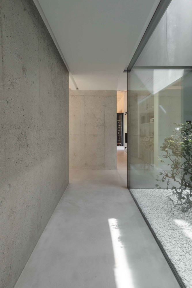 ореховое дерево в атриуме Matski House