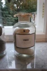 Умка - арт-дизайн Инны Гринчель