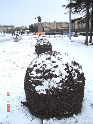 сферические сетки для укрытия растений
не складные ржавые каркасы с ржавой сеткой обеспечивают плохую защиту растения зимой, хранение и транспортировка- проблема.
Keywords:  ПРОВОЛОКА,