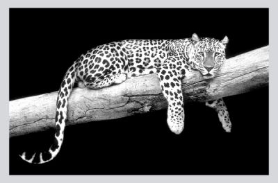 фотография на хлопке
пример фотоизображения, нанесенного на хлопковое полотно.
