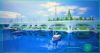 gorod_ostrov_005.jpg