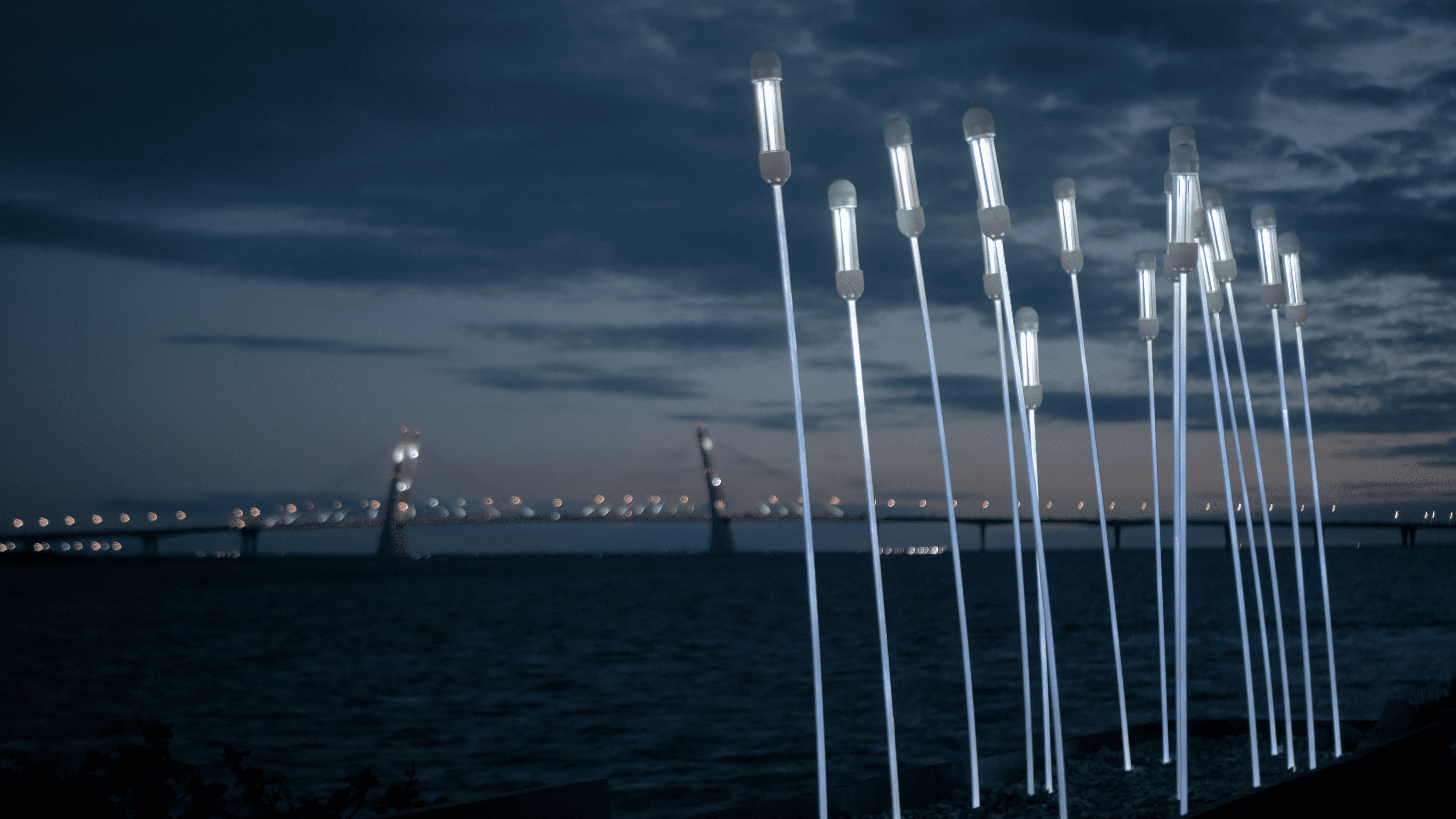reeds_night_20.png